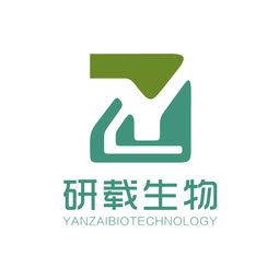 技術(shù)服務(wù) 企業(yè)數(shù)字化轉(zhuǎn)型與持續(xù)發(fā)展的核心引擎