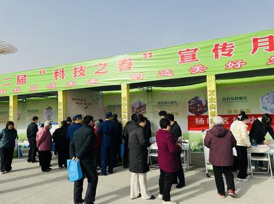 聚焦楊凌“雙交會” | “科技之春” 農味足 專家坐“診”開“方”忙