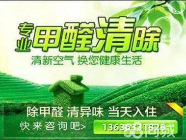 母嬰甲醛治理服務(wù)工裝家裝除甲醛工廠,空氣凈化提供甲醛檢測(cè)、汽車(chē)除醛、甲醛治理/除甲醛服務(wù)
